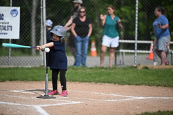 20250616-LLBB-00591.jpg