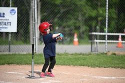 20250616-LLBB-02911.jpg