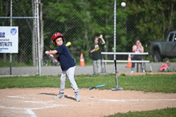 20250616-LLBB-03036.jpg