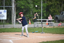 20250616-LLBB-03038.jpg