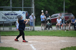 20250619-LLBB-09559.jpg