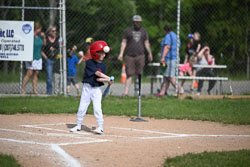20250616-LLBB-00190.jpg