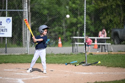 20250616-LLBB-03356.jpg