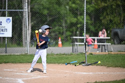 20250616-LLBB-03360.jpg