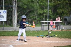 20250616-LLBB-03379.jpg