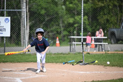 20250616-LLBB-03392.jpg
