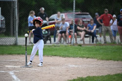 20250619-LLBB-09416.jpg