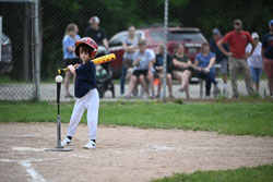 20250619-LLBB-09418.jpg