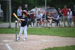 20250619-LLBB-09422.jpg