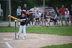 20250619-LLBB-09424.jpg