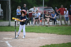 20250619-LLBB-09425.jpg