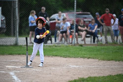 20250619-LLBB-09427.jpg