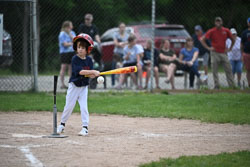 20250619-LLBB-09429.jpg