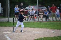 20250619-LLBB-09439.jpg