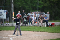 20250619-LLBB-10481.jpg