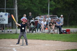20250619-LLBB-10483.jpg