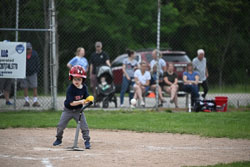 20250619-LLBB-10491.jpg