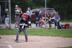 20250619-LLBB-12953.jpg