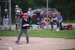 20250619-LLBB-12958.jpg