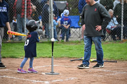 20250518-LLBB-03941.jpg