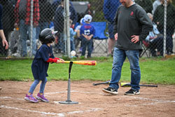 20250518-LLBB-03948.jpg
