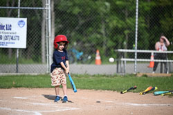 20250616-LLBB-03848.jpg