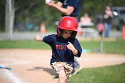 20250616-LLBB-03941.jpg