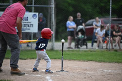 20250619-LLBB-10215.jpg