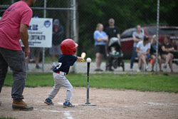 20250619-LLBB-10220.jpg
