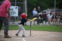 20250619-LLBB-10221.jpg