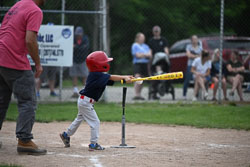 20250619-LLBB-10223.jpg