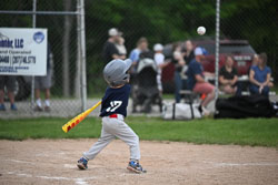 20250619-LLBB-13391.jpg