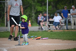 20250616-LLBB-12549.jpg