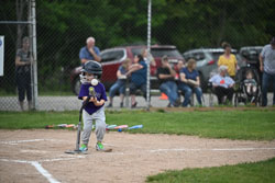20250619-LLBB-03294.jpg