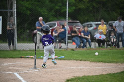 20250619-LLBB-03308.jpg