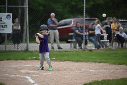 20250619-LLBB-06283.jpg