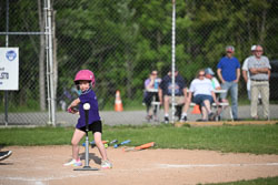 20250616-LLBB-11755.jpg