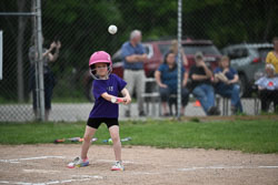 20250619-LLBB-02873.jpg