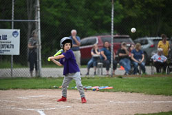 20250619-LLBB-03664.jpg