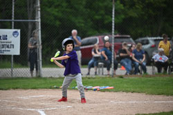 20250619-LLBB-03666.jpg