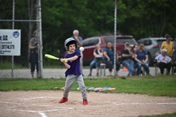 20250619-LLBB-03668.jpg