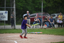20250619-LLBB-03686.jpg