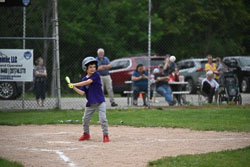 20250619-LLBB-06548.jpg