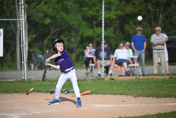 20250616-LLBB-11938.jpg