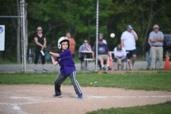 20250616-LLBB-07747.jpg