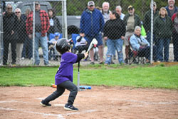 20250518-LLBB-05894.jpg