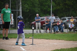 20250619-LLBB-05824.jpg