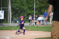 20250616-LLBB-12074.jpg