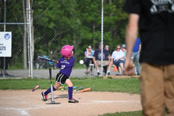 20250616-LLBB-12084.jpg