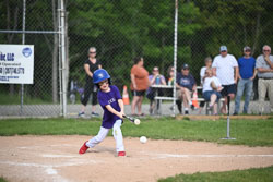 20250616-LLBB-07488.jpg
